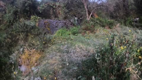 Walking in Ampay Sanctuary #Abancay