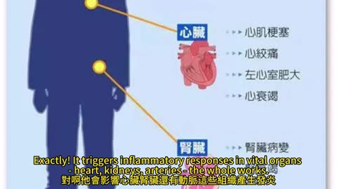 CKM症候群 心腎代謝關聯