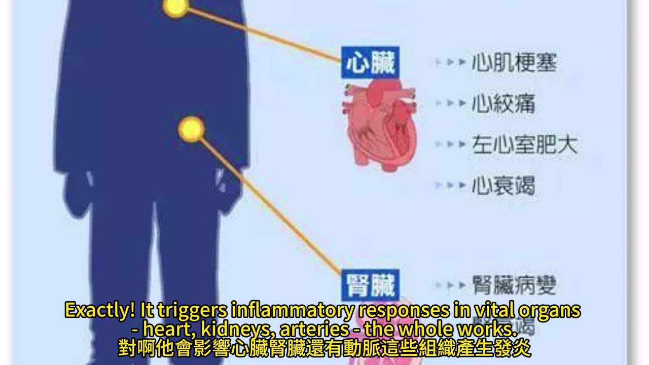 CKM症候群 心腎代謝關聯