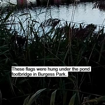 English & British Pride in Walworth (London)