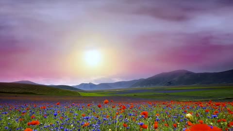 I Will Rise (Psalm 51)