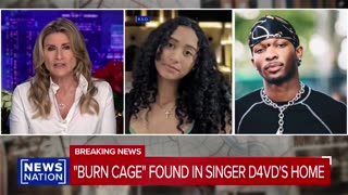 A private investigator says he found a “burn cage” in singer D4vd's Hollywood Hills home.