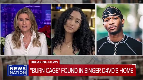 A private investigator says he found a “burn cage” in singer D4vd's Hollywood Hills home.