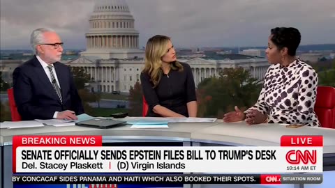 Democrat Admits Epstein Was Pulling Her Strings