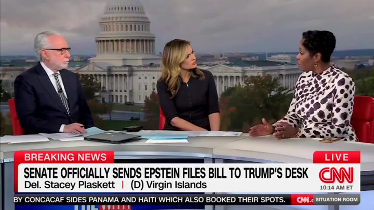 Democrat Admits Epstein Was Pulling Her Strings