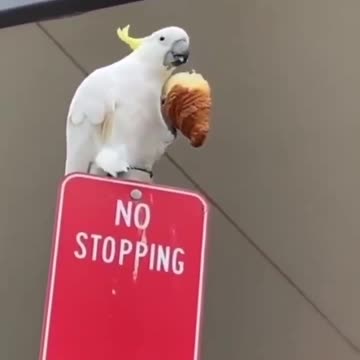 Sign says nothing about eating 😂