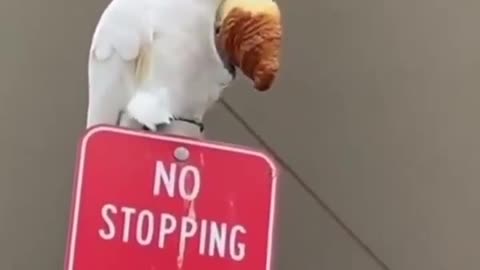 Sign says nothing about eating 😂