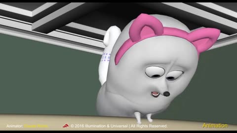 Gidget Pomeranian Previsualization Stage