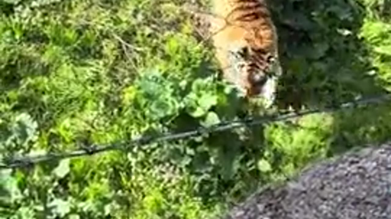 Come at me bro and see what happens 😂💪