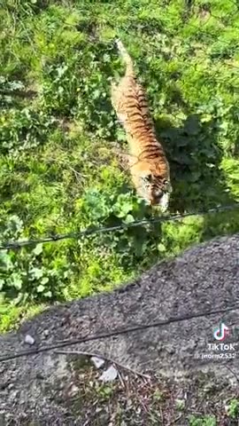 Come at me bro and see what happens 😂💪