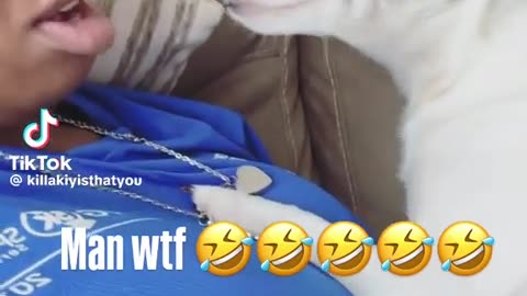😂🐶 You Won't Believe What Your Dog is REALLY Thinking! | FunFM