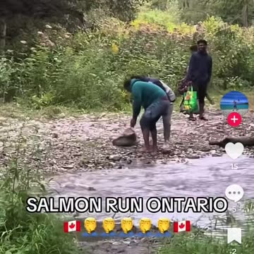 Save the planet? The Liberals can’t even save the fish