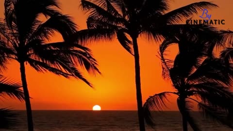 Beach Party Vibes