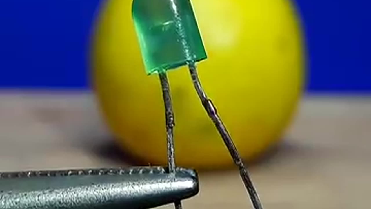 Shocking: LED light lemon science experiment project / simple electronics scienc