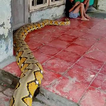 Meanwhile in Indonesia 🤯