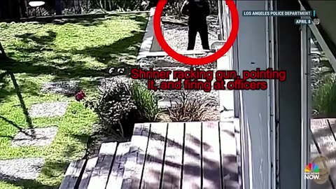 Video shows California police shooting Weezer bassist's wife