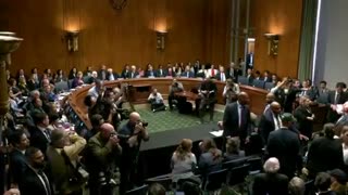 LEFTIST protesters rudely interrupted the opening of a Senate hearing, catching RFK Jr. off guard
