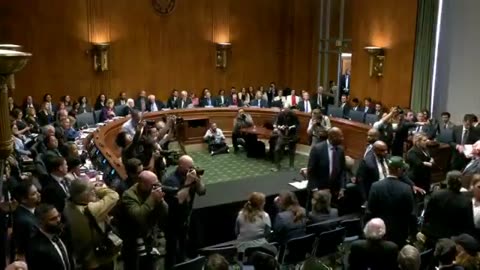 LEFTIST protesters rudely interrupted the opening of a Senate hearing, catching RFK Jr. off guard