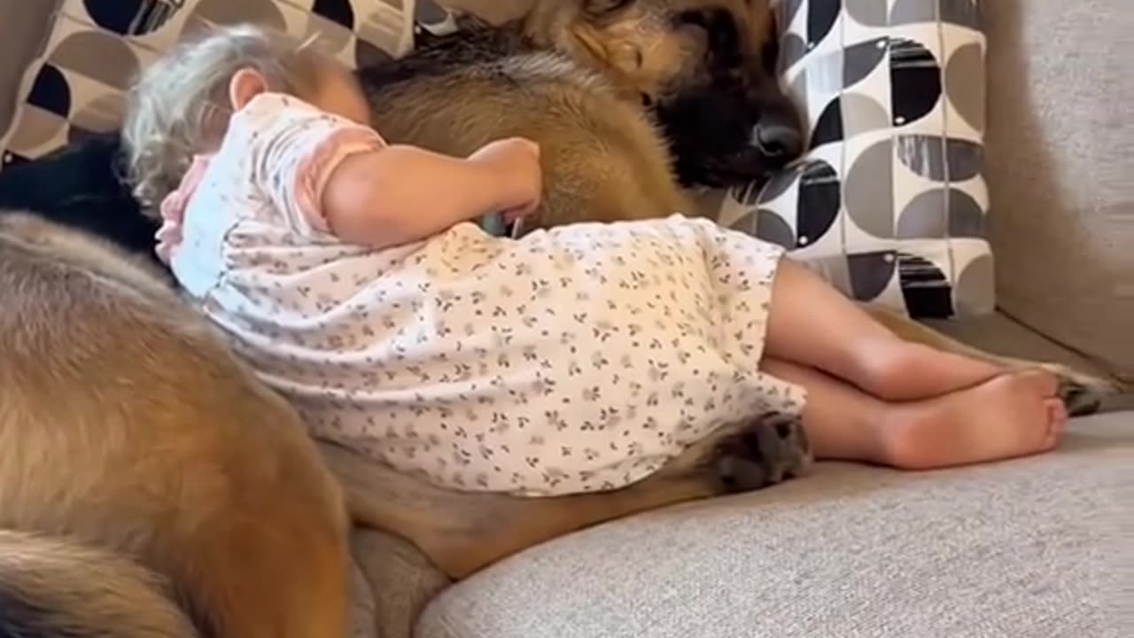 Video funny