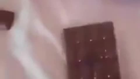 Chocolate + Mag*e*