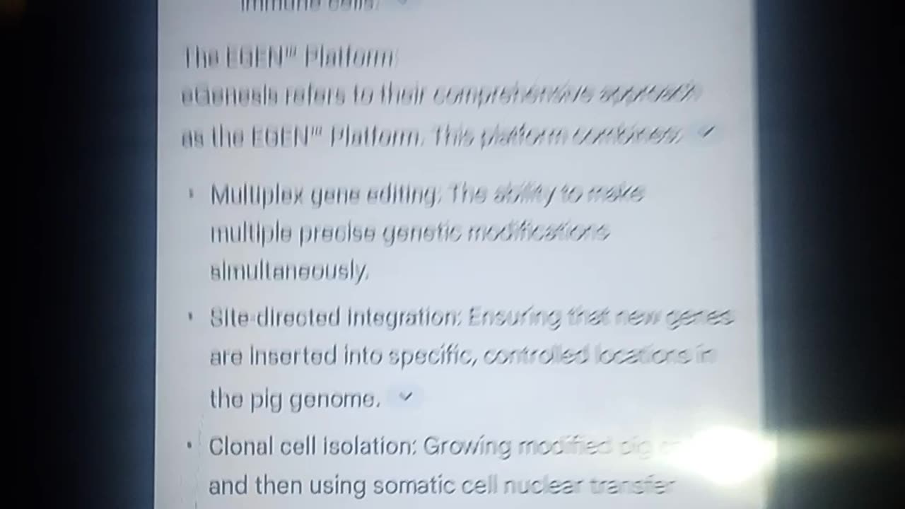 MD Anderson experimenting on animals beagles my dogs