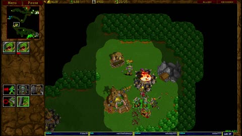 Warcraft 2 Remastered/classic 18.6.2025