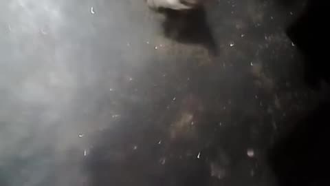 Allah ki qudrat