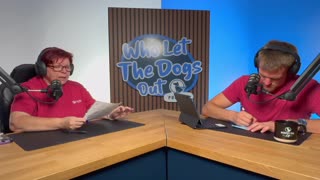 How Do You Stop a Dog From Leaving a Yard With No Fence? Puppy Socializing & More — Q&A Ep. 078