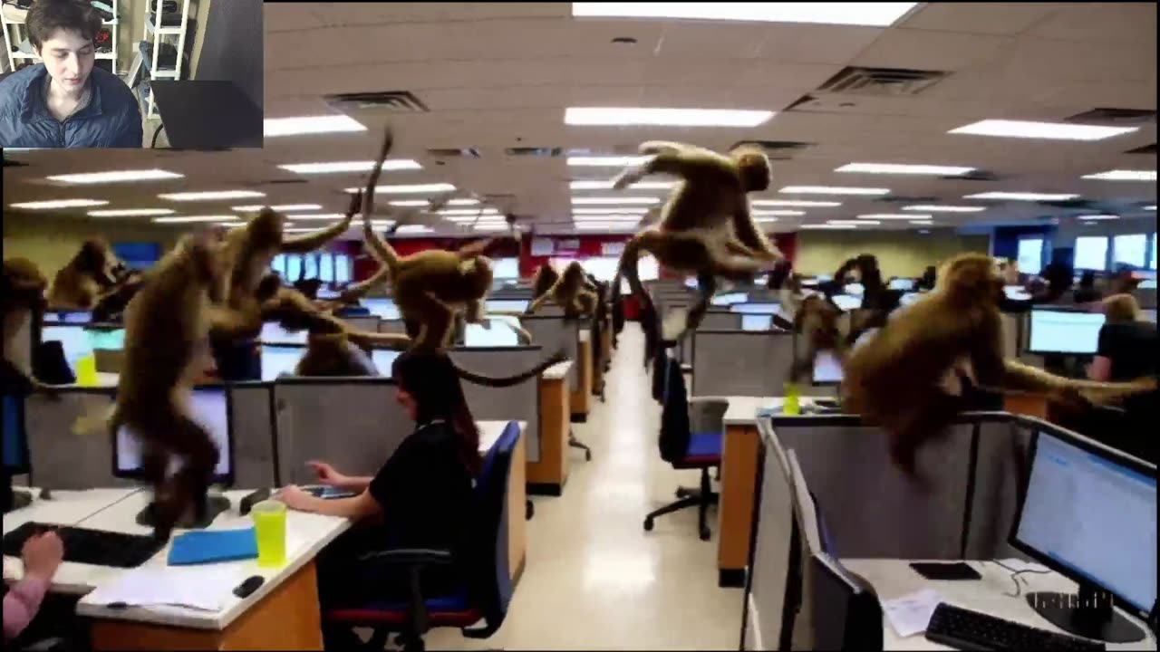 Outtake #1,053 Of Over 8 Monkeys Roam Around A Call Center Fake Funny Parody Video