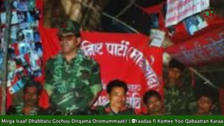 Qophii Addaa ONM-ABO Onkoloolessa 29-2025 itti dhiyaadhaa!