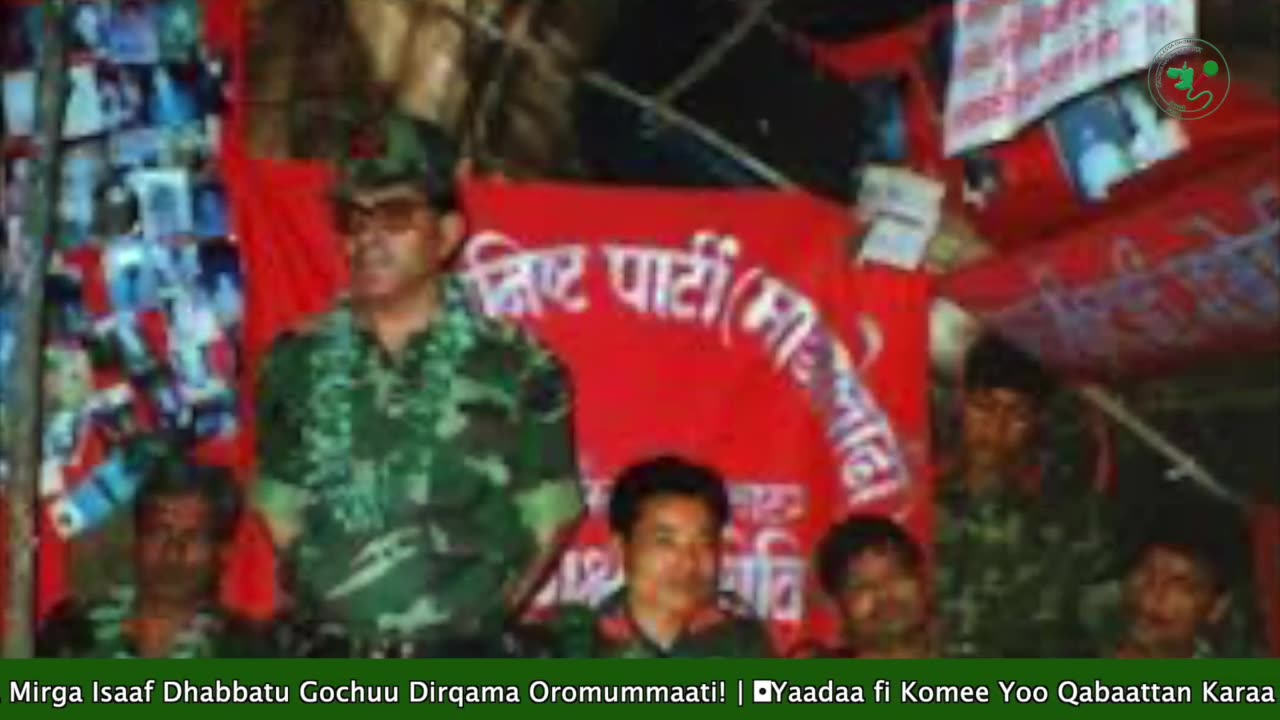 Qophii Addaa ONM-ABO Onkoloolessa 29-2025 itti dhiyaadhaa!