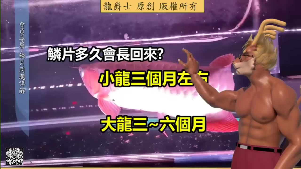 【龍爵士】鱗片問題詳解(會員影片公開)