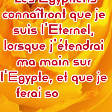 "L’Égypte Reconnaîtra Que Je Suis l’Éternel" Exode 7:5 #shorts #youtubeshorts #youtube #ytshorts #yt