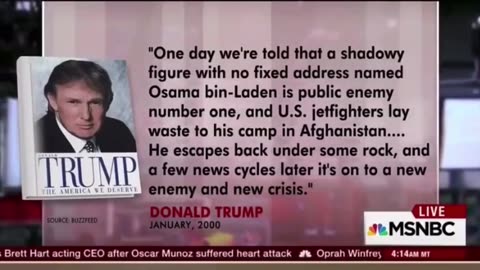 Was Osama Bin Laden Responsible for 9/11? If Not, Why'd We Kil Him?