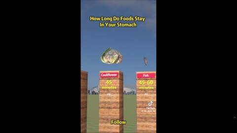 How long does food to digest? Well....see below the vid clip for better info