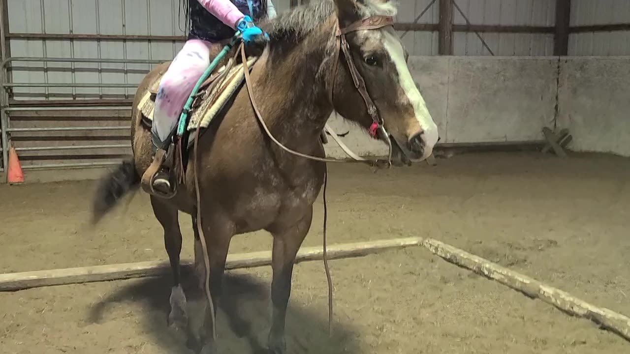 Practice turning in a small box for trail classes!