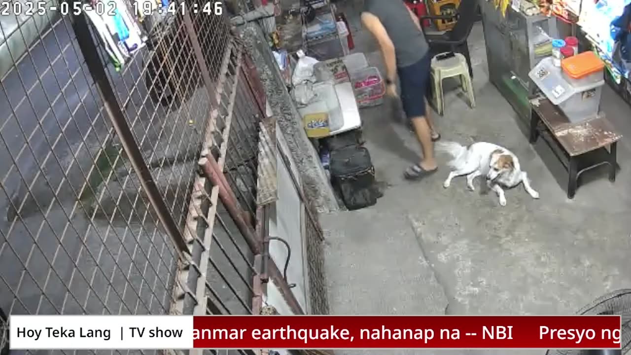 Mitsubishi Xpander 2019 Live