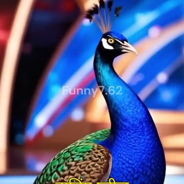 She Transformed into a Peahen Instantly—Watch the Magical Moment!