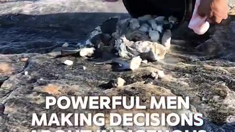 Message to President Trump from Greenland Tupaarnaq made by a greenlandic woman,