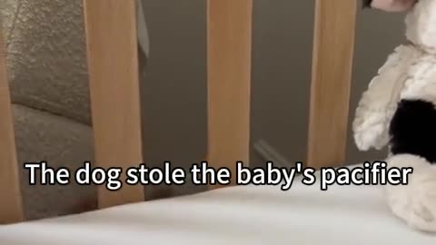 BINKY 😛TUESDAY 11/18/25