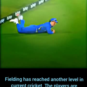 Viral Awesome catches for you..