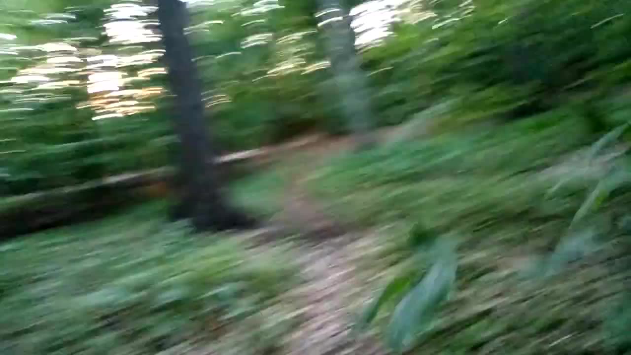 Todd Thundercock: I-m socially inept. Forest rant.
