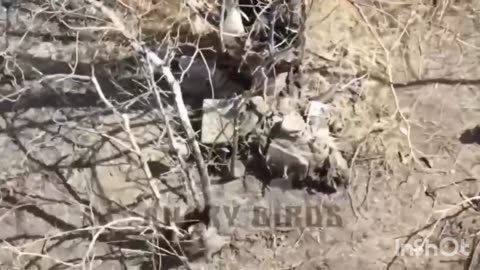 War Photos