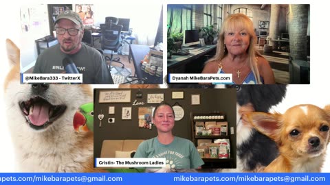 News Update & The Mushroom Ladies!
