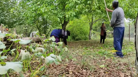Yaşıl Lobyalı Türk Bulgur Plovu
