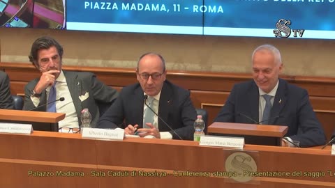 🔴 On. Alberto Bagnai alla Conferenza stampa in Senato sulla Proposta di riforma della legge CONFIDI.