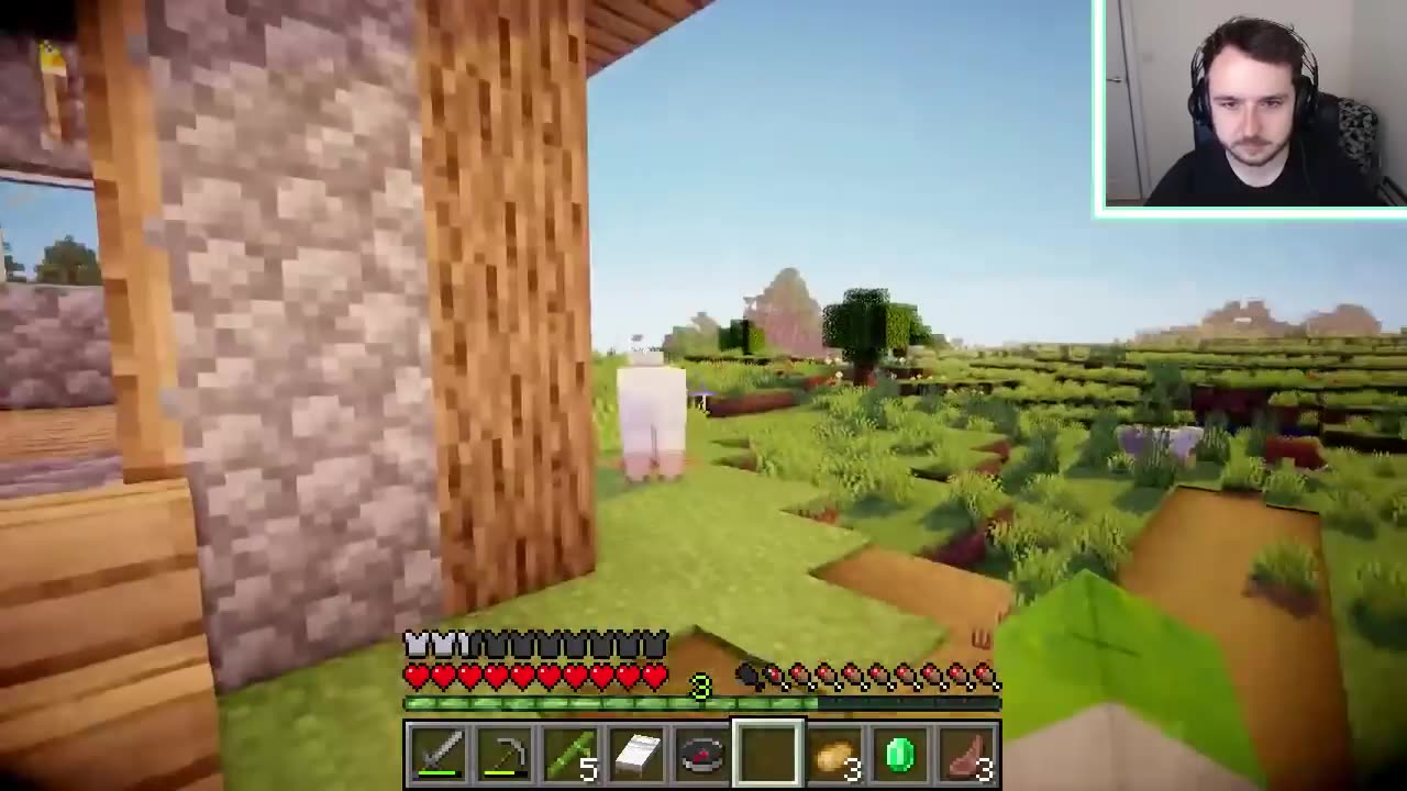 Survival Minecraft with LDShadowlady