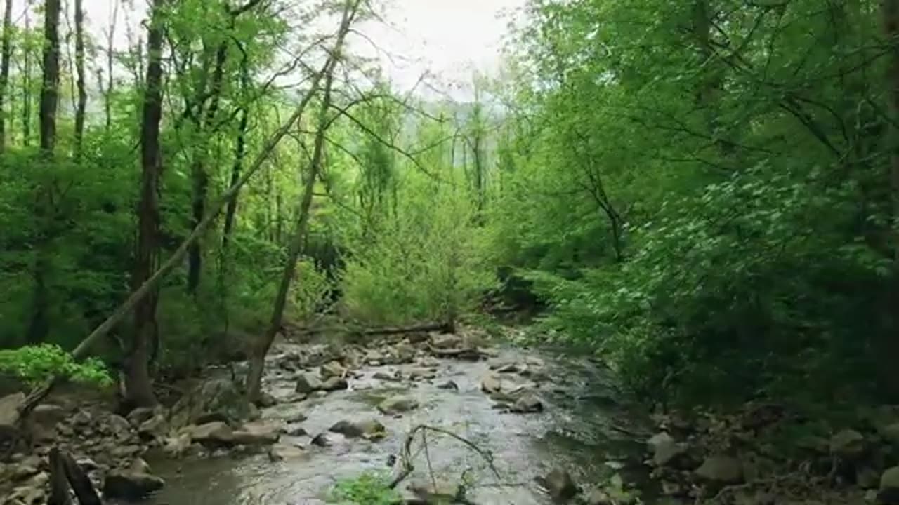 Navy SEAL WARNS Of DEADLY NEW SPECIES in North Carolina