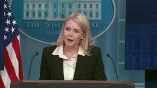 Karoline Leavitt Gets Into Testy Exchange With Liberal Reporter Over Video