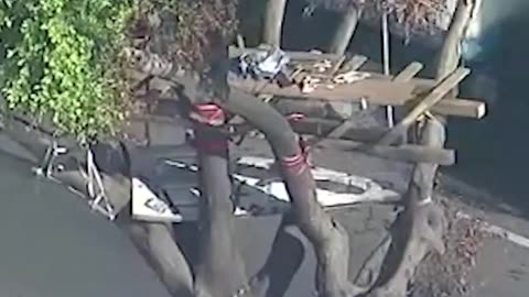 The homeless in L.A. are now building treehouses